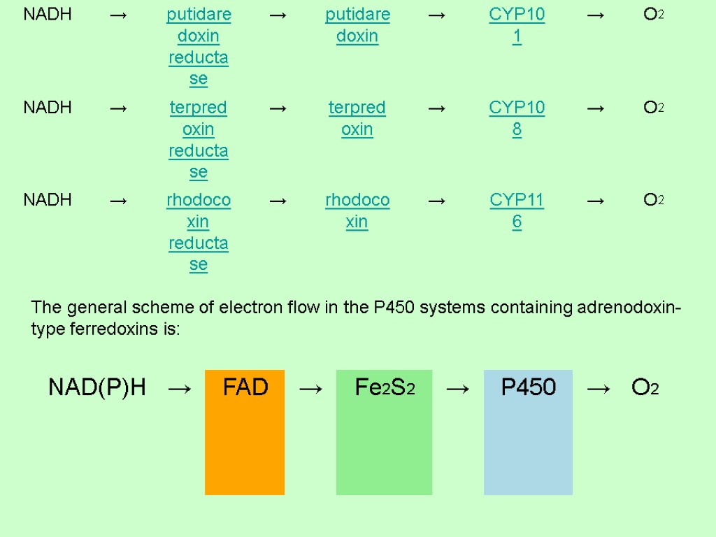 The general scheme of electron flow in the P450 systems containing adrenodoxin-type ferredoxins is: